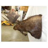 VIEW 7 TOP VIEW MOUSE