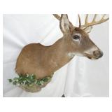 VIEW 3 24IN LENGTH X 40 TALL