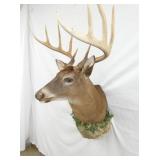 VIEW 4 16IN SPREAD/WIDE