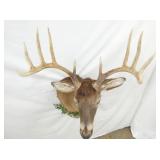 VIEW 6 24IN LX 40IN T X 16IN W