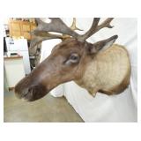 VIEW 4 CLOSEUP OTHERSIDE