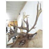 VIEW 5 18IN WIDE SPREAD