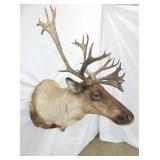 VIEW 6 CARIBOU MOUNT