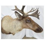 VIEW 7 35L X 46T X 18W