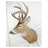 VIEW 3 24IN LENGTH X 36 TALL