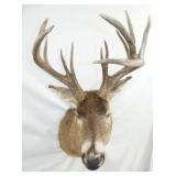 VIEW 5 18IN SPREAD/WIDE