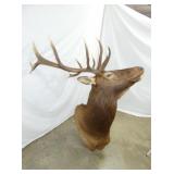 VIEW 3 52IN LENGHT X 72IN TALL