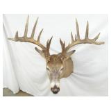 VIEW 3 21IN SPREAD/WIDE