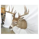 VIEW 4 28IN LENGTH X 36 TALL