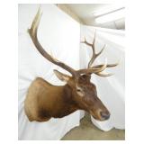 ELK MOUNT