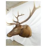 VIEW 5 37IN SPREAD/WIDE