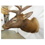 VIEW 6 OTHERSIDE ELK