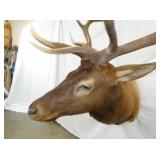 VIEW 7 ELK 43LX60TX37W