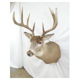 VIEW 3 16IN SPREAD/WIDE