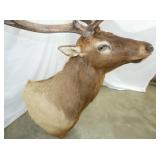 VIEW 3 46IN LENGTH X 74IN TALL