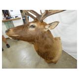 VIEW 7 CLOSEUP OTHERSIDE