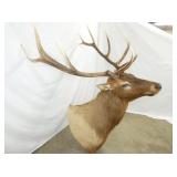 VIEW 9 ELK MOUNT