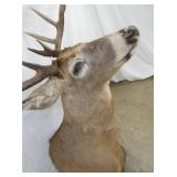 VIEW 3 24IN LENGTH X 36IN TALL