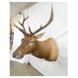 ELK MOUNT