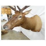 VIEW 3 42IN LENGTH X 62IN TALL