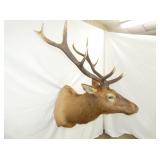 VIEW 4 30IN SPREAD/WIDE