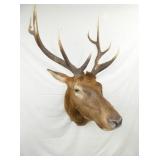 VIEW 8 ELK MOUNT 42X62X30