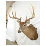 VIEW 3 18IN SPREAD/WIDE