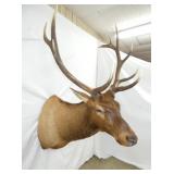 ELK MOUNT