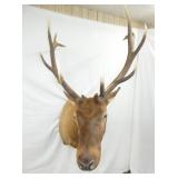 VIEW 3 36IN SPREAD/WIDE