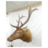 VIEW 4 43IN LENGTH X 62IN TALL