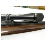 VIEW 5 WINCHESTER 243