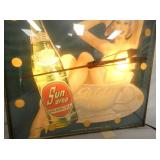 VIEW 3 SUNDROP SOME DAMAGE