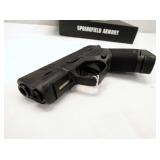 VIEW 6 9MM HELLCAT 11/13 ROUNDS