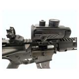 VIEW 11 CLOSEUP W/ RED DOT SIGHTS