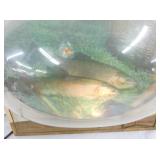 VIEW 3 CLOSEUP W/ FISH