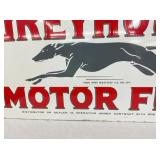 CLOSE UP OF GREYHOUND 