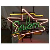 VIEW 3 22X24 SALEM NEON