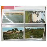 VIEW 4 BOOK OF 80 FLORIDA POSTCARDS