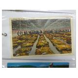 VIEW 7 BOOK OF NC POSTCARDS