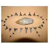 COLLECTION SHARK TEETH & ARROW HEADS