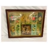 FRAMED EARLY LARGE POSTCARDS