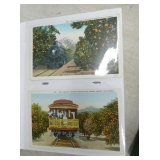 COLLECTION TRAINS AND TRAMS