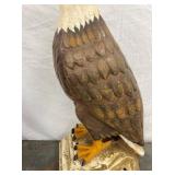 CLOSEUP VIEW WHITE EAGLE