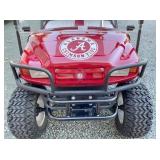 WORKING HEADLIGHTS/BRUSH GUARD