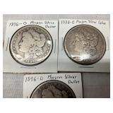 CLOSE UP VIEW MORGANS