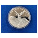 LOT 1676 1/2 OZ SILVER CAMEO LIBERTAD