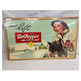 DR. PEPPER 10-2-4 CB IN WINTER