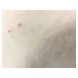 ONLINE ONLY caauction.hibid.com