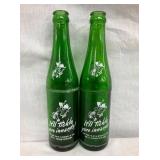 BACK VIEW MT. DEW BOTTLES