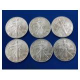 (6) 2007 UNC SILVER AMERICAN EAGLES